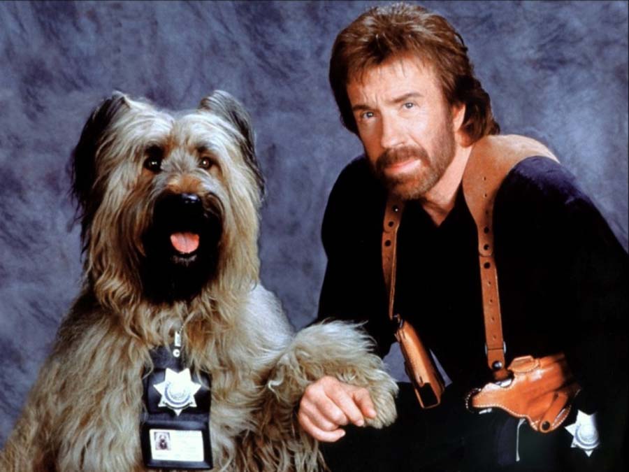 Chuck Norris dans le film "Top dog" - 1995 © Photo sous Copyright 
