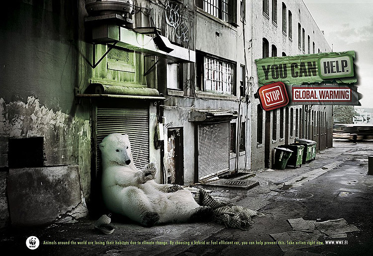 un ourse polaire fait la manche dans une rue insalubre You can help © WWF
