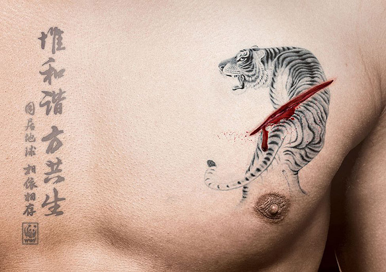 un torse humain avec une cicatrice dans un tatouage de tigre © WWF