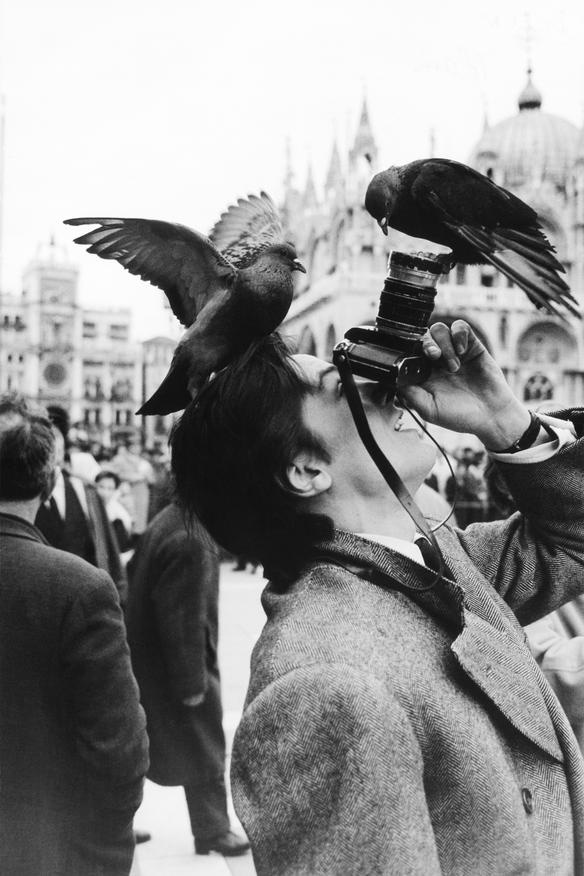 Alain Delon à Venise en train de photographier des pigeons en très gros plan - 1962 © Photo sous Copyright