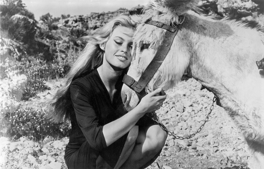 les plus belles photos de Brigitte Bardot.BB cheveux longs avec un cheval